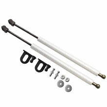 Load image into Gallery viewer, For Toyota bB xp30 2000-2005 For Scion xB 2004-2006 Front Hood Bonnet Modify Gas Struts Carbon Fiber Lift Support Shock Damper
